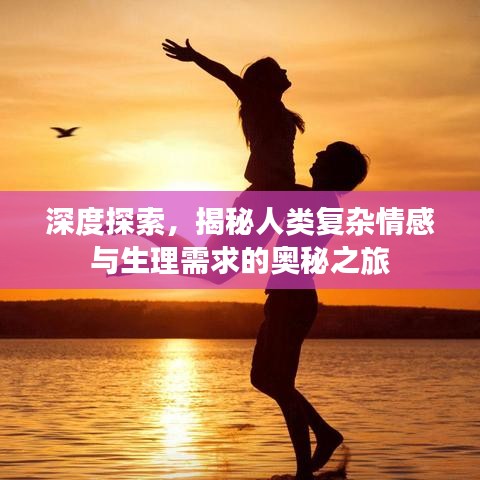 深度探索，揭秘人类复杂情感与生理需求的奥秘之旅