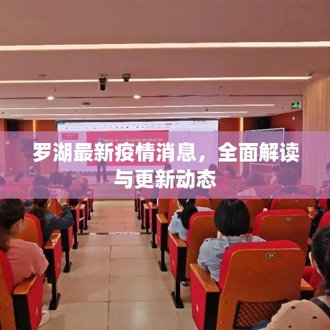 罗湖最新疫情消息，全面解读与更新动态