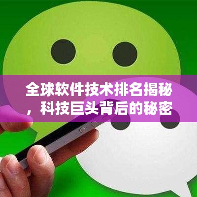 全球软件技术排名揭秘，科技巨头背后的秘密探索