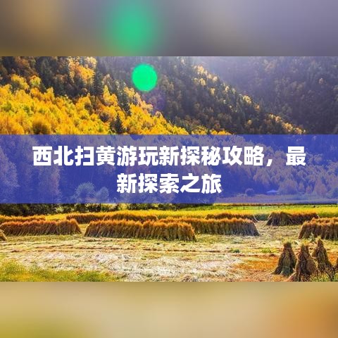 西北扫黄游玩新探秘攻略，最新探索之旅