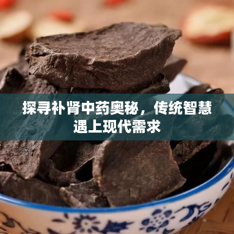探寻补肾中药奥秘，传统智慧遇上现代需求