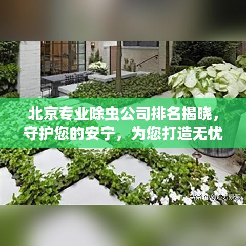 北京专业除虫公司排名揭晓，守护您的安宁，为您打造无忧环境！
