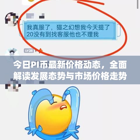 今日PI币最新价格动态，全面解读发展态势与市场价格走势揭秘