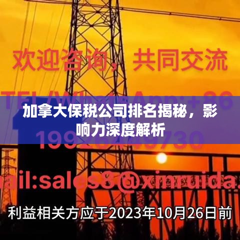加拿大保税公司排名揭秘，影响力深度解析