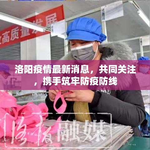 洛阳疫情最新消息，共同关注，携手筑牢防疫防线