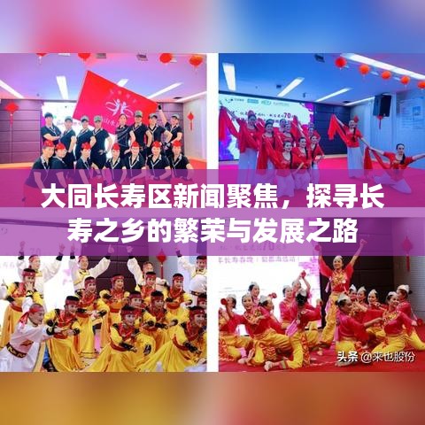 大同长寿区新闻聚焦，探寻长寿之乡的繁荣与发展之路
