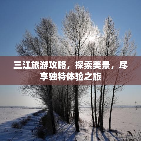 三江旅游攻略，探索美景，尽享独特体验之旅
