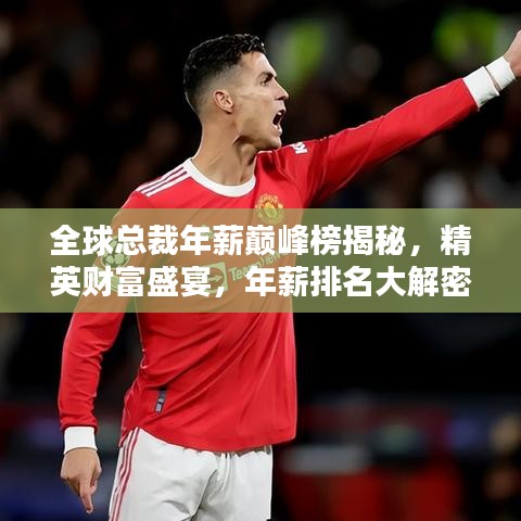 全球总裁年薪巅峰榜揭秘，精英财富盛宴，年薪排名大解密！