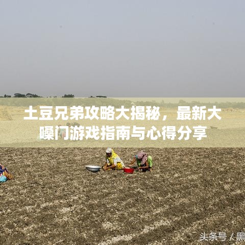 土豆兄弟攻略大揭秘，最新大嗓门游戏指南与心得分享