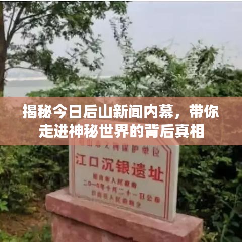 揭秘今日后山新闻内幕，带你走进神秘世界的背后真相
