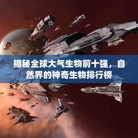 揭秘全球大气生物前十强，自然界的神奇生物排行榜