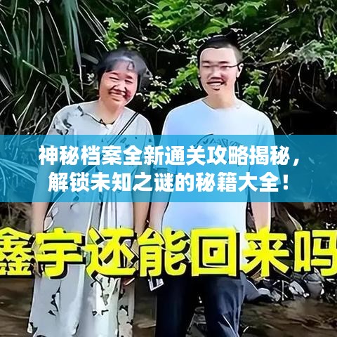 神秘档案全新通关攻略揭秘，解锁未知之谜的秘籍大全！