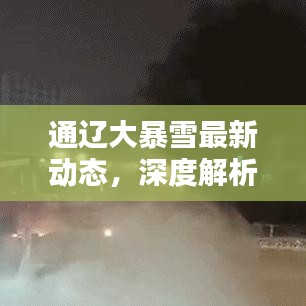通辽大暴雪最新动态，深度解析及应对建议
