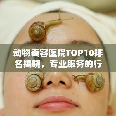 动物美容医院TOP10排名揭晓，专业服务的行业标杆