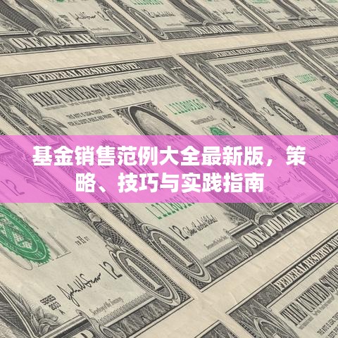 基金销售范例大全最新版，策略、技巧与实践指南