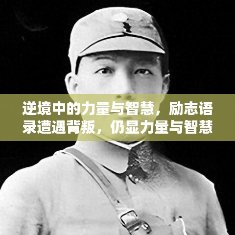 逆境中的力量与智慧，励志语录遭遇背叛，仍显力量与智慧并存