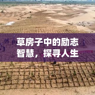 草房子中的励志智慧，探寻人生坚韧与智慧之路