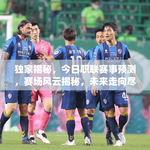 独家揭秘，今日职联赛事预测，赛场风云揭秘，未来走向尽在掌握！