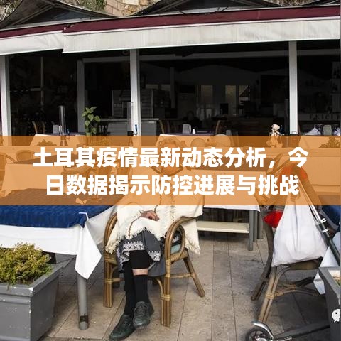 土耳其疫情最新动态分析，今日数据揭示防控进展与挑战