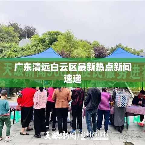 广东清远白云区最新热点新闻速递
