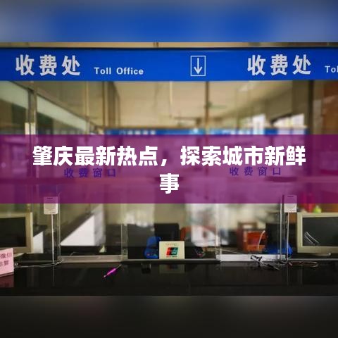 肇庆最新热点，探索城市新鲜事