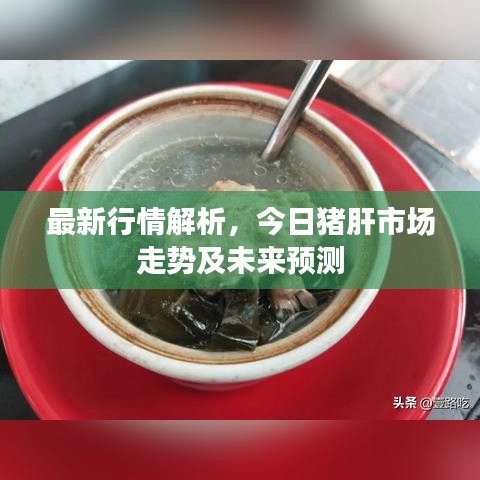 最新行情解析，今日猪肝市场走势及未来预测