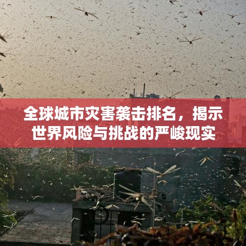 全球城市灾害袭击排名，揭示世界风险与挑战的严峻现实