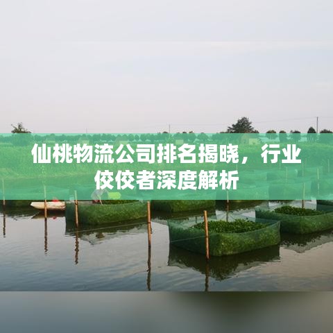 仙桃物流公司排名揭晓，行业佼佼者深度解析