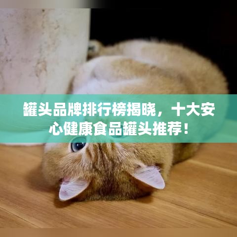 罐头品牌排行榜揭晓，十大安心健康食品罐头推荐！