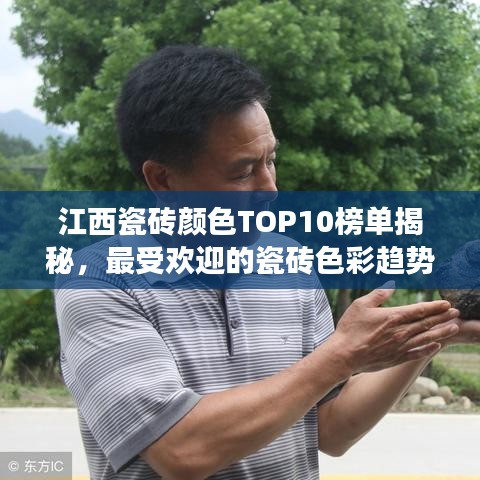 江西瓷砖颜色TOP10榜单揭秘，最受欢迎的瓷砖色彩趋势解读