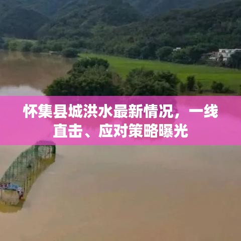 怀集县城洪水最新情况，一线直击、应对策略曝光