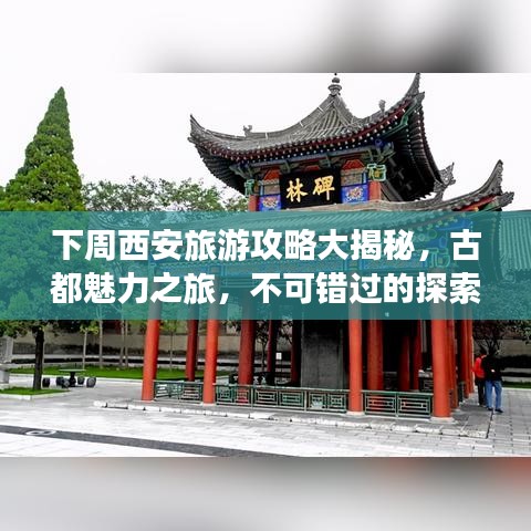下周西安旅游攻略大揭秘，古都魅力之旅，不可错过的探索之旅