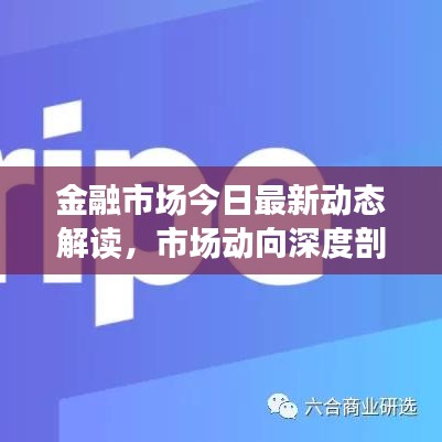 金融市场今日最新动态解读，市场动向深度剖析与影响分析