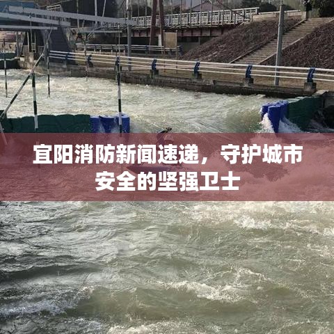 宜阳消防新闻速递，守护城市安全的坚强卫士