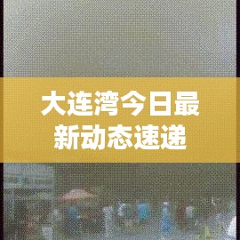 大连湾今日最新动态速递