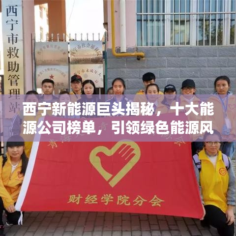 西宁新能源巨头揭秘，十大能源公司榜单，引领绿色能源风潮