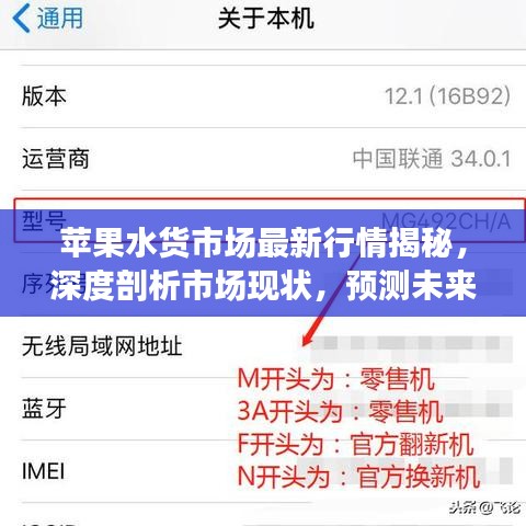 苹果水货市场最新行情揭秘，深度剖析市场现状，预测未来趋势