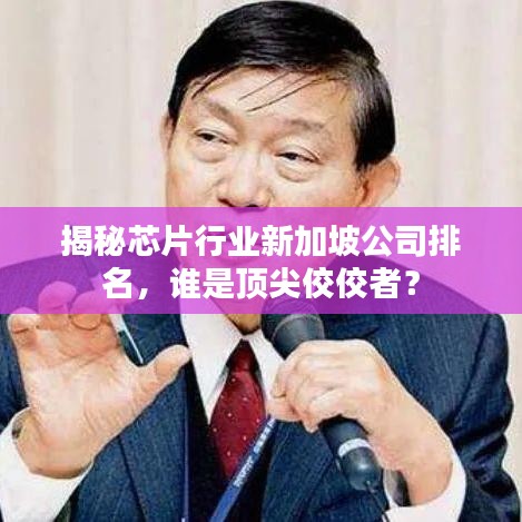 揭秘芯片行业新加坡公司排名，谁是顶尖佼佼者？
