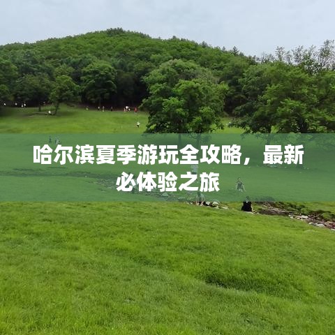 哈尔滨夏季游玩全攻略，最新必体验之旅