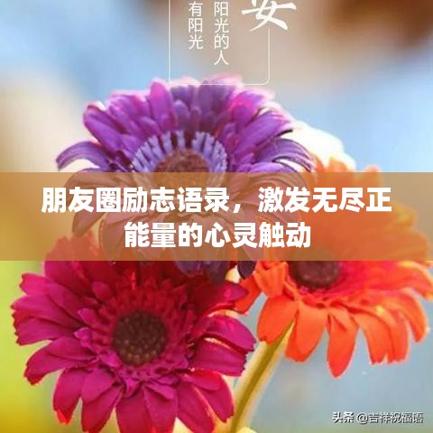 朋友圈励志语录，激发无尽正能量的心灵触动