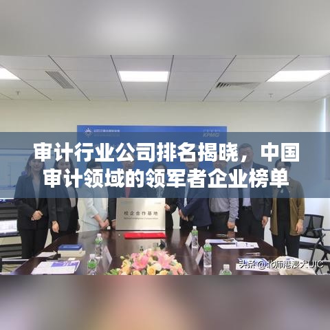 审计行业公司排名揭晓，中国审计领域的领军者企业榜单
