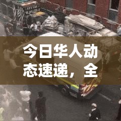 今日华人动态速递，全球华人最新消息聚焦