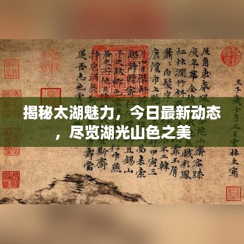 第236页