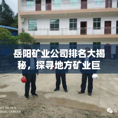 岳阳矿业公司排名大揭秘，探寻地方矿业巨头崛起之路