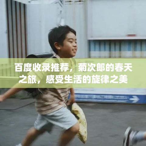 百度收录推荐，菊次郎的春天之旅，感受生活的旋律之美