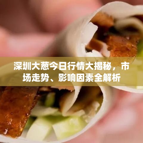 深圳大葱今日行情大揭秘，市场走势、影响因素全解析