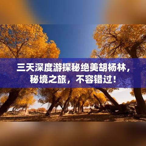 三天深度游探秘绝美胡杨林，秘境之旅，不容错过！