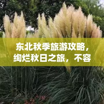 2025年5月18日 第46页