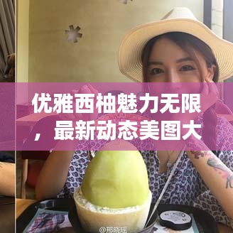 优雅西柚魅力无限，最新动态美图大放送