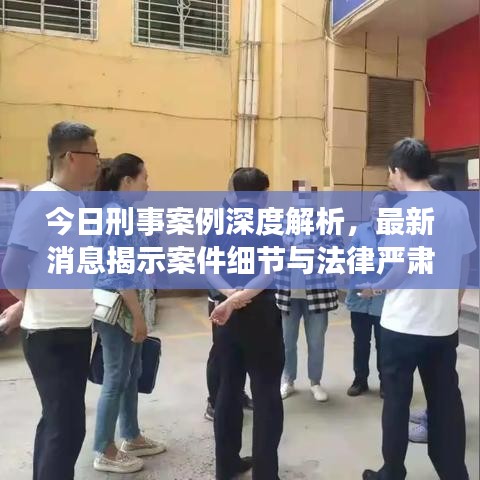 今日刑事案例深度解析，最新消息揭示案件细节与法律严肃性